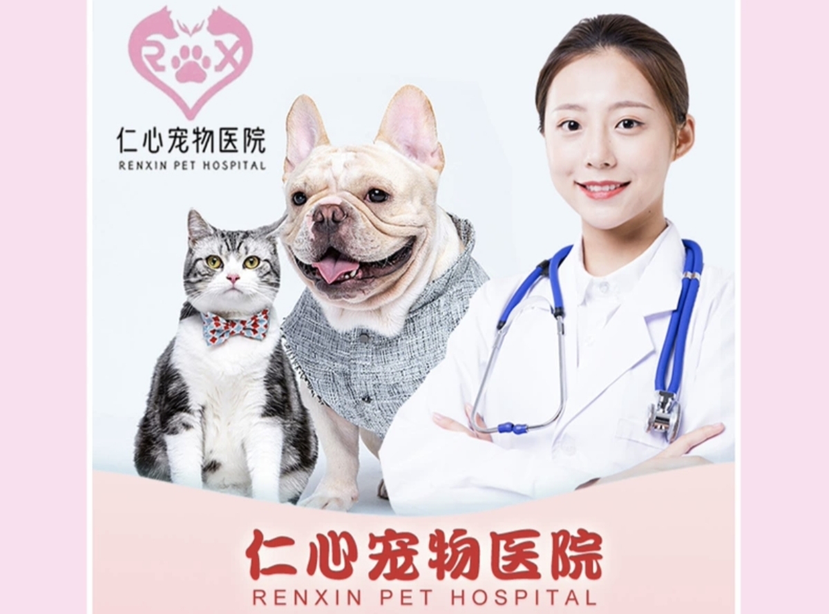 仁心淮安线上分站